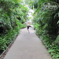 фото из отзыва ID 605105