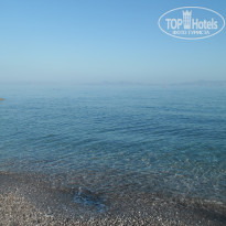 фото из отзыва ID 605250