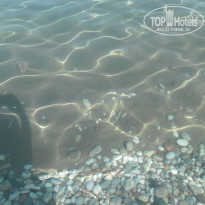 фото из отзыва ID 605250