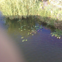 фото из отзыва ID 605884