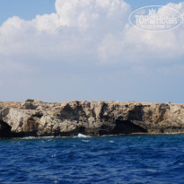 фото из отзыва ID 605937