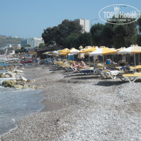 фото из отзыва ID 605250