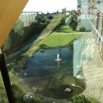 фото из отзыва ID 606039