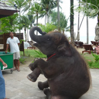 фото из отзыва ID 606091