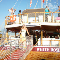 фото из отзыва ID 606182