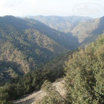 фото из отзыва ID 606212