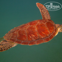 фото из отзыва ID 606481