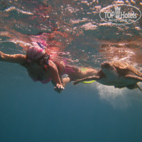 фото из отзыва ID 606481