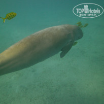 фото из отзыва ID 606481