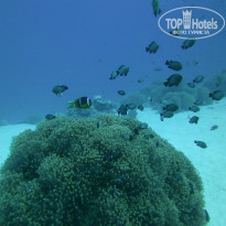 фото из отзыва ID 606481