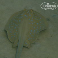 фото из отзыва ID 606481