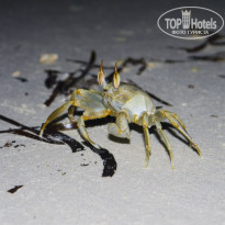 фото из отзыва ID 606673