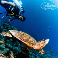 фото из отзыва ID 606673