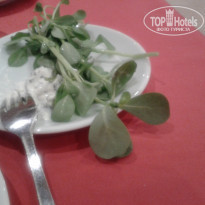 фото из отзыва ID 607638