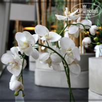 фото из отзыва ID 607386