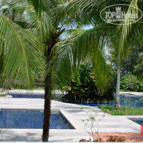 фото из отзыва ID 607542