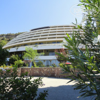 фото из отзыва ID 607700