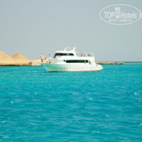 фото из отзыва ID 607798