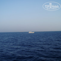 фото из отзыва ID 607798