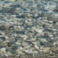 фото из отзыва ID 607819