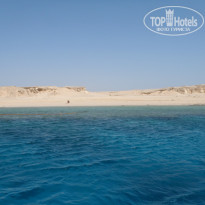 фото из отзыва ID 608855