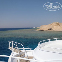 фото из отзыва ID 608855