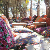 фото из отзыва ID 608137