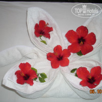 фото из отзыва ID 608188