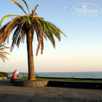 фото из отзыва ID 608497