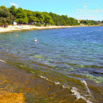 фото из отзыва ID 608538