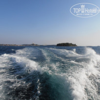 фото из отзыва ID 608538