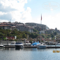 фото из отзыва ID 608643