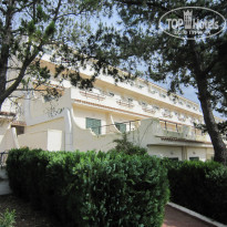 фото из отзыва ID 608710