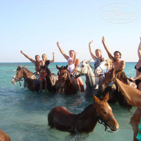 фото из отзыва ID 609276