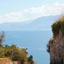 фото из отзыва ID 609692