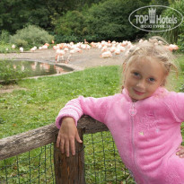 фото из отзыва ID 609782