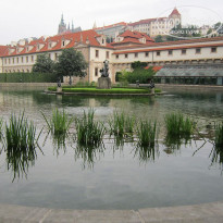 фото из отзыва ID 609782