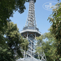 фото из отзыва ID 609782