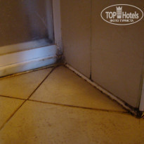 фото из отзыва ID 609856