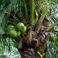 фото из отзыва ID 610059