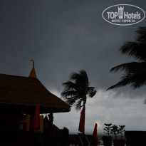 фото из отзыва ID 610059