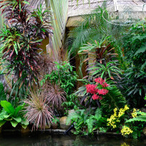 фото из отзыва ID 610059