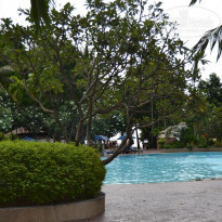 фото из отзыва ID 610172