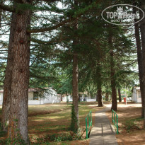 фото из отзыва ID 610177