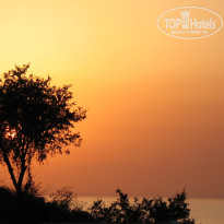 фото из отзыва ID 610180