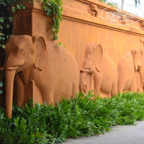 фото из отзыва ID 610193