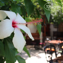 фото из отзыва ID 610333