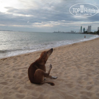 фото из отзыва ID 610365