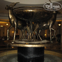 фото из отзыва ID 610223