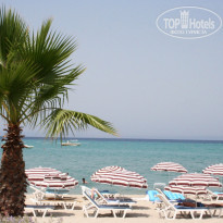 фото из отзыва ID 610611